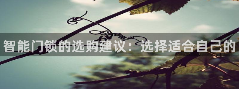 万利记官方旗舰店官网：智能门锁的选购建议：选择适合自己的