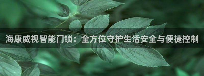 香港利记集团官网地址：海康威视智能门锁：全方位守护生活安全与