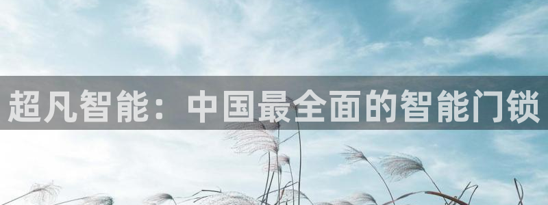 利记官网日亚运比：超凡智能：中国最全面的智能门锁