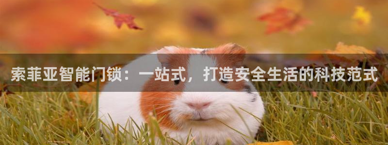 利记官网入口：索菲亚智能门锁：一站式，打造安全生活的科技范式