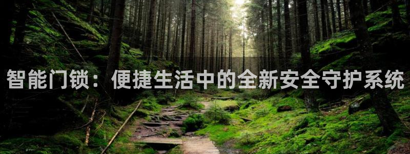 利记手机官网葡京备用：智能门锁：便捷生活中的全新安全守护系统