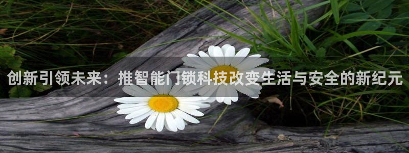 大利来记官网：创新引领未来：推智能门锁科技改变生活与安全的新