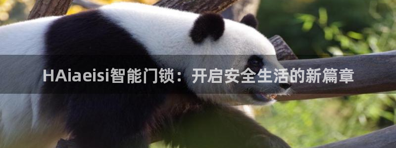 利记娱乐网官网：HAiaeisi智能门锁：开启安全生活的新篇