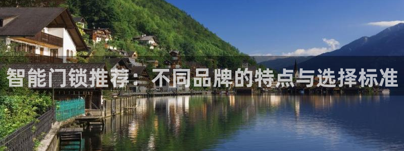 利记正式官网：智能门锁推荐：不同品牌的特点与选择标准