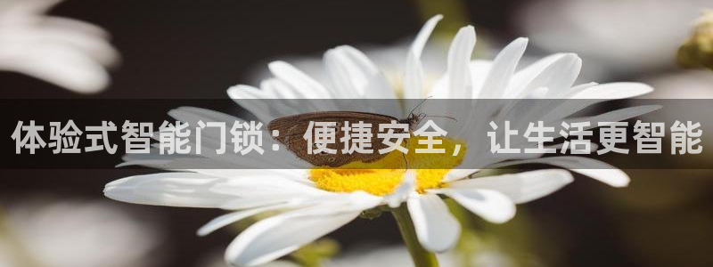 SBOBET利记官网：体验式智能门锁：便捷安全，让生活更智能