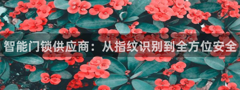 sbo利记体育官网注册：智能门锁供应商：从指纹识别到全方位安