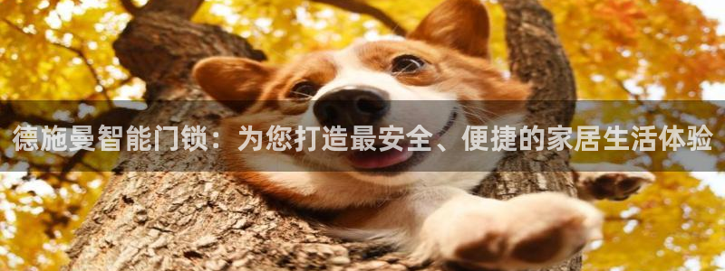 利记sbobe官网：德施曼智能门锁：为您打造最安全、便捷的家