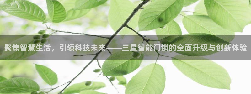 利记彩票平台官网：聚焦智慧生活，引领科技未来——三星智能门锁