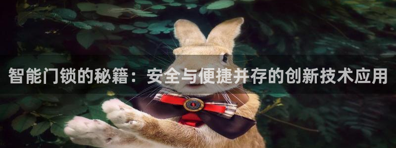 利记博彩官网：智能门锁的秘籍：安全与便捷并存的创新技术应用