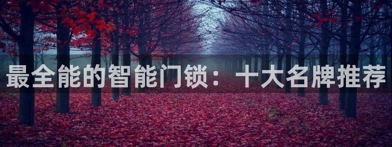 利记国际有限公司官网：最全能的智能门锁：十大名牌推荐