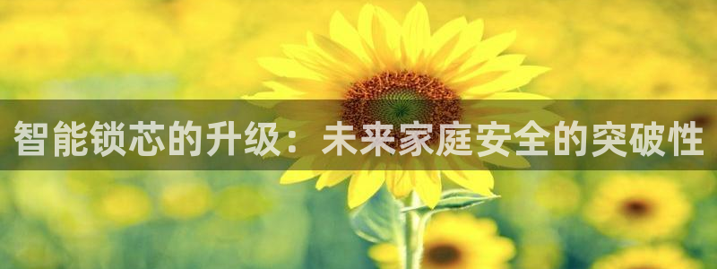 利记现场官网：智能锁芯的升级：未来家庭安全的突破性