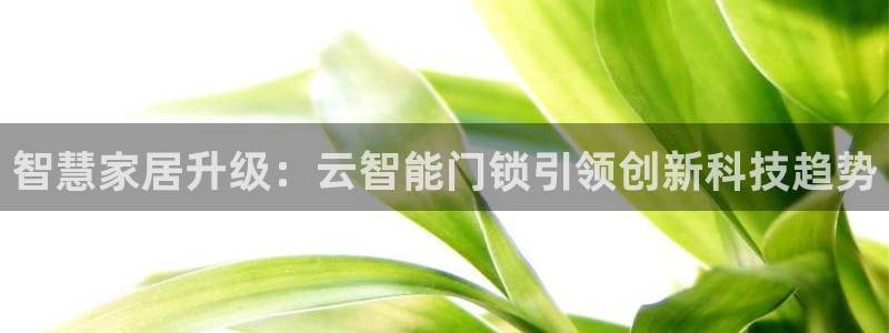 利记官网是什么：智慧家居升级：云智能门锁引领创新科技趋势