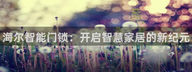 利记 官网：海尔智能门锁：开启智慧家居的新纪元