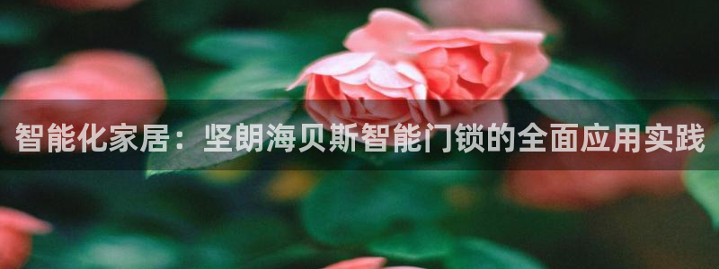 利记科技有限公司官网：智能化家居：坚朗海贝斯智能门锁的全面应