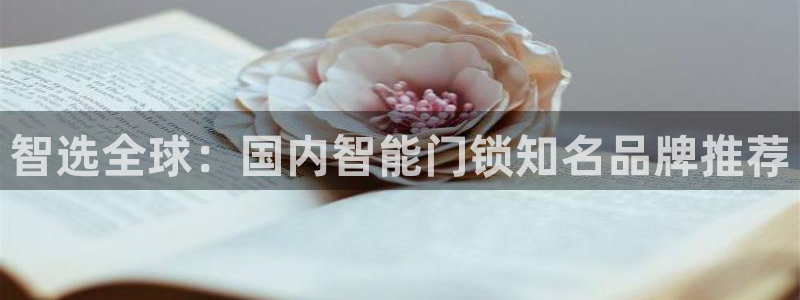 利记官网行业领导者：智选全球：国内智能门锁知名品牌推荐