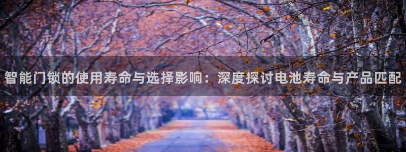 利记官网首页：智能门锁的使用寿命与选择影响：深度探讨电池寿命
