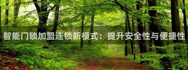 利记官网日亚运比：智能门锁加盟连锁新模式：提升安全性与便捷性