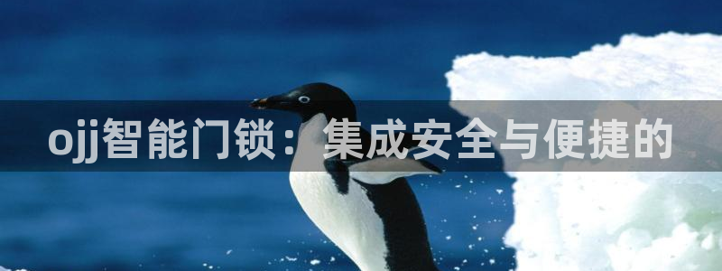 利记投注平台官网：ojj智能门锁：集成安全与便捷的