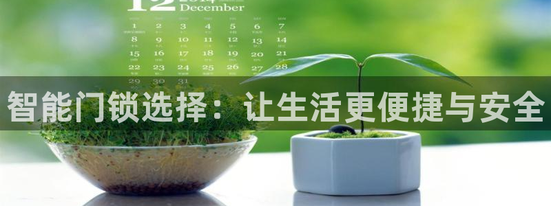铂利记旗舰店官网：智能门锁选择：让生活更便捷与安全