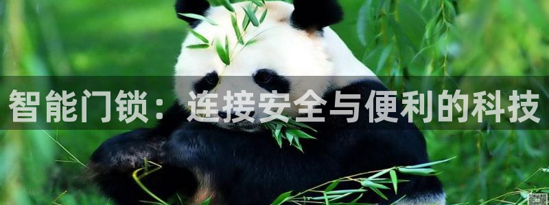 大利来记官网：智能门锁：连接安全与便利的科技