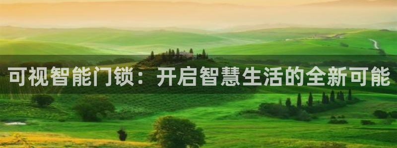 利记体育投注官网：可视智能门锁：开启智慧生活的全新可能