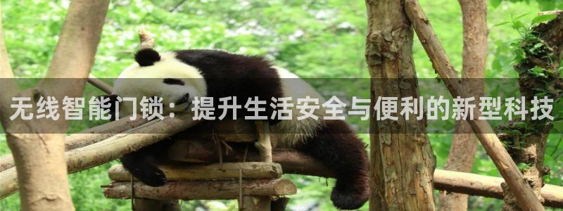 利记手机官网入口：无线智能门锁：提升生活安全与便利的新型科技