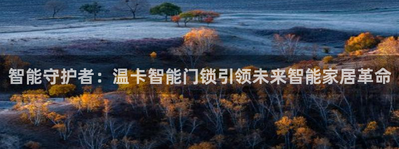 利记坊官网注册账号：智能守护者：温卡智能门锁引领未来智能家居