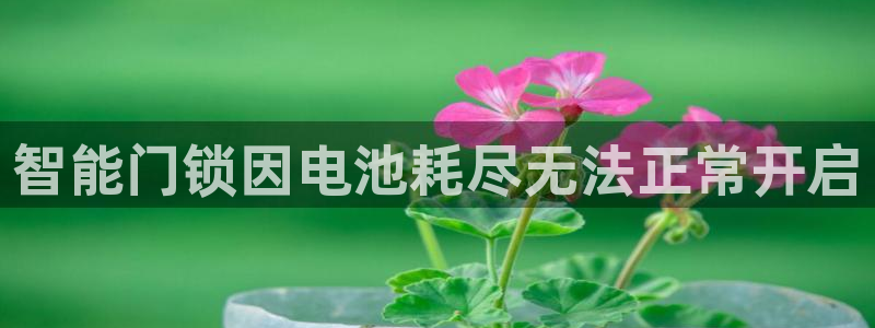 利记官网登录：智能门锁因电池耗尽无法正常开启