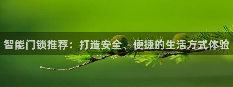 利记坊官网注册账号申请：智能门锁推荐：打造安全、便捷的生活方