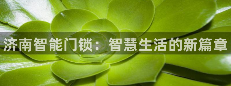 利记体育官网首页：济南智能门锁：智慧生活的新篇章