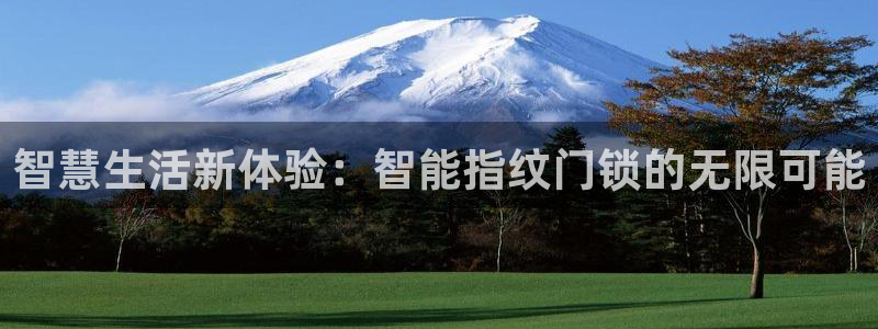 利记国际线址官网：智慧生活新体验：智能指纹门锁的无限可能