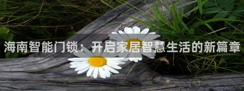 利记娱乐网唯一官网：海南智能门锁：开启家居智慧生活的新篇章