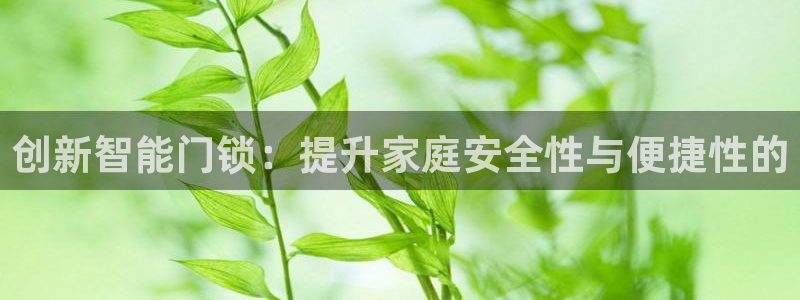 利记网址注册官网：创新智能门锁：提升家庭安全性与便捷性的
