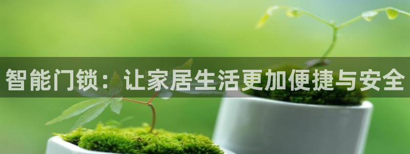 利记体育官网地址：智能门锁：让家居生活更加便捷与安全