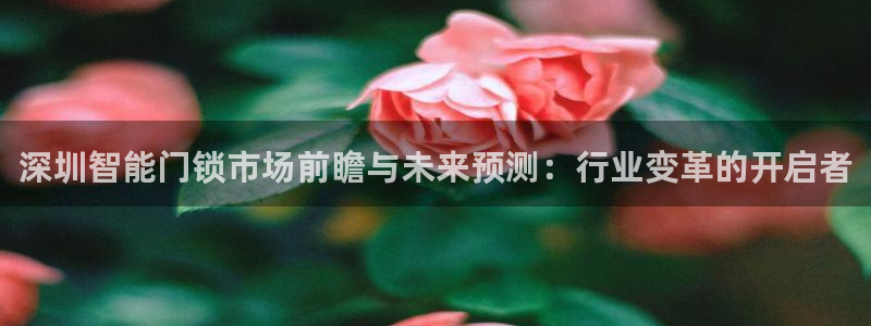 利记手机官网银河网：深圳智能门锁市场前瞻与未来预测：行业变革
