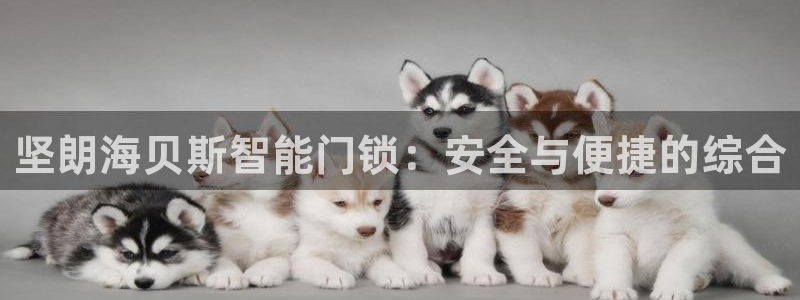 利记博彩官网：坚朗海贝斯智能门锁：安全与便捷的综合