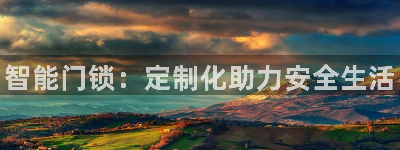 利记集团官网：智能门锁：定制化助力安全生活