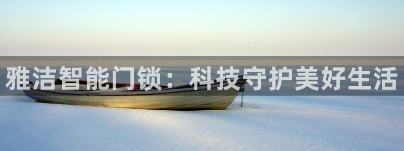 利记平台官网首页：雅洁智能门锁：科技守护美好生活