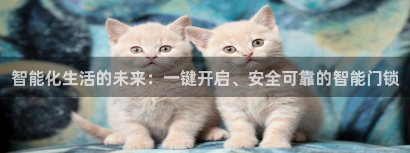 利记官网：智能化生活的未来：一键开启、安全可靠的智能门锁