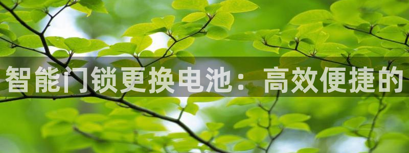 sbo利记体育官网：智能门锁更换电池：高效便捷的