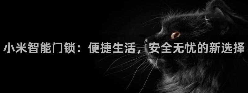 香港利记集团官网招聘：小米智能门锁：便捷生活，安全无忧的新选