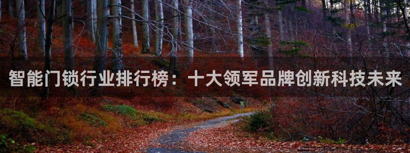 利记官网app：智能门锁行业排行榜：十大领军品牌创新科技未来