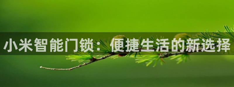 利记网官网：小米智能门锁：便捷生活的新选择