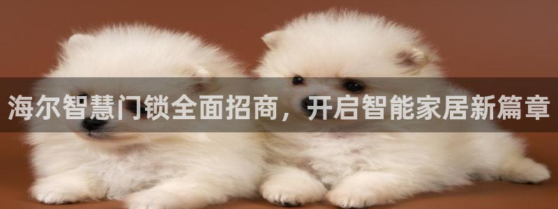 利记亚洲官网：海尔智慧门锁全面招商，开启智能家居新篇章