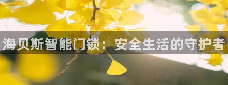 利记官网入口最新版：海贝斯智能门锁：安全生活的守护者