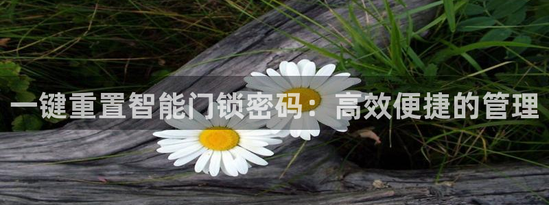 利记88官网app：一键重置智能门锁密码：高效便捷的管理