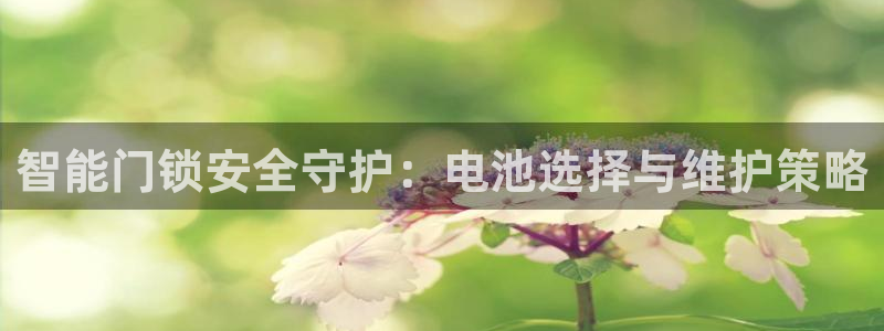 利记彩票导航网址官网hd71：智能门锁安全守护：电池选择与维