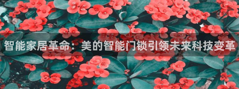利记坊官网注册：智能家居革命：美的智能门锁引领未来科技变革