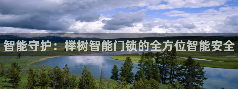 利记官网平台：智能守护：榉树智能门锁的全方位智能安全