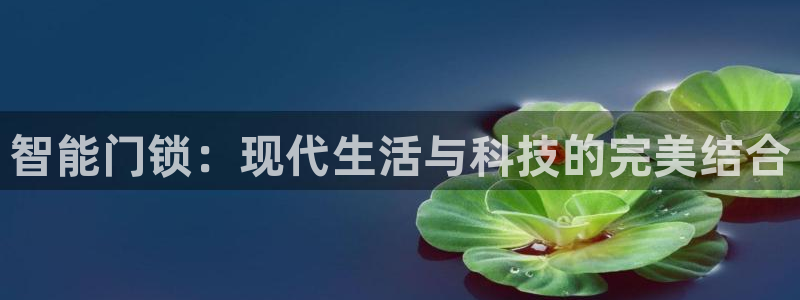 利记官网注册：智能门锁：现代生活与科技的完美结合